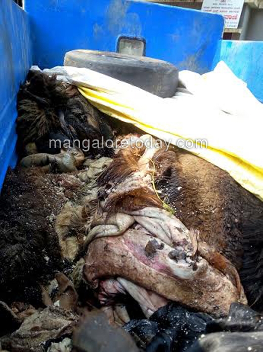 Cops thwart illegal transportation of cattle, sheep skin